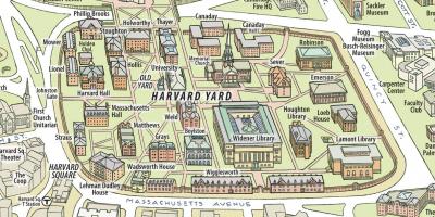 Karte Hārvarda universitāte